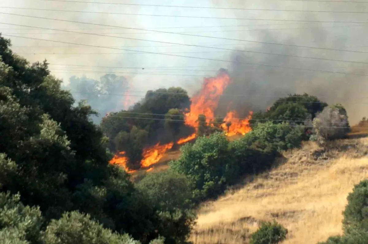 Ekipler Yangınla Mücadelede Yoğun Çaba Sarf Ediyor