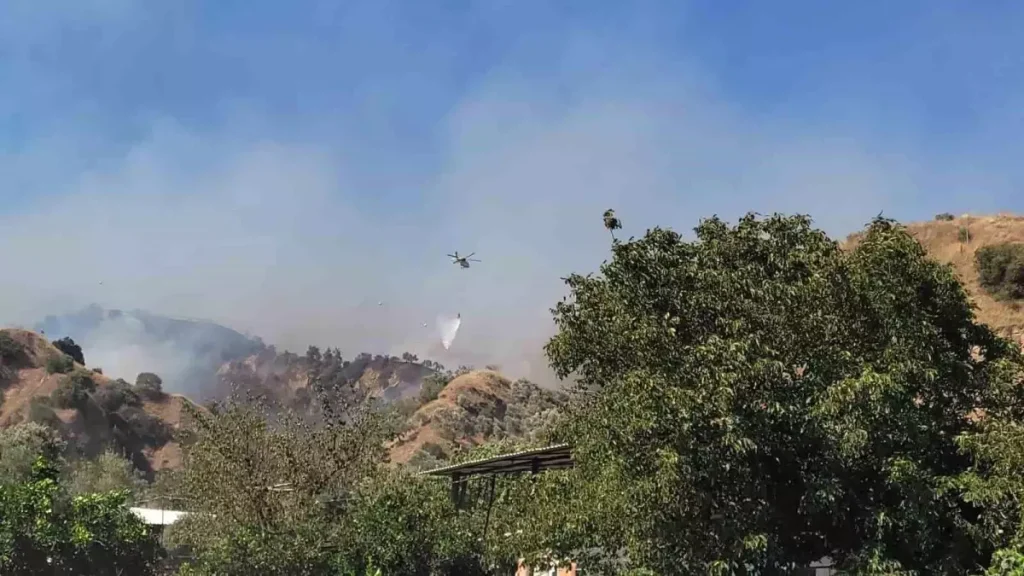 Aydın Efeler’de Zirai Yangınla Mücadele Devam Ediyor