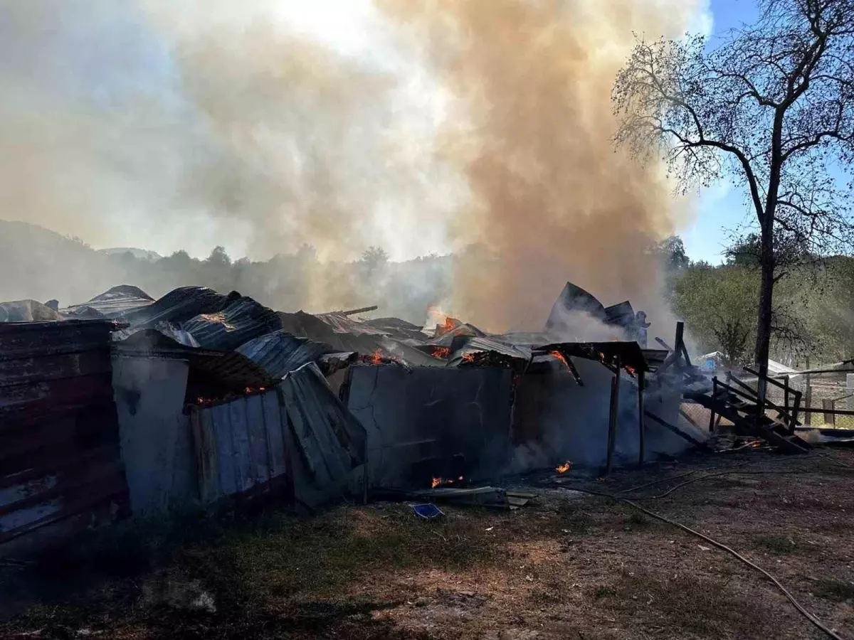 Sakarya’da Samanlık Yangını Kontrol Altına Alındı