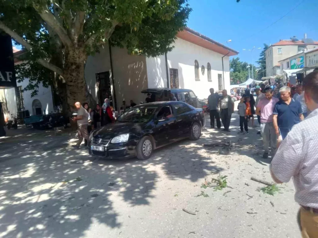 Asırlık Çınarın Dali Otomobilin Üzerine Düştü