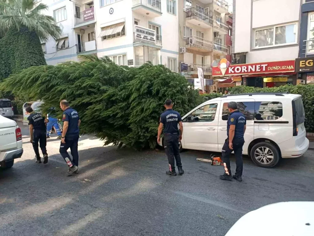 Aydın’da Ağaç Araç Üstüne Devrildi