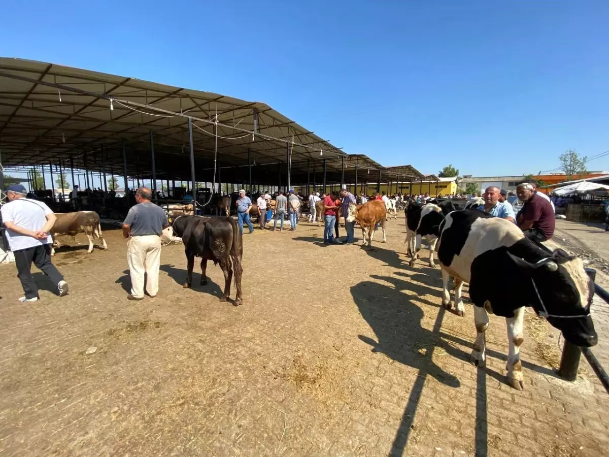 Hayvan Nakliyesinde Yeni Düzenlemeler