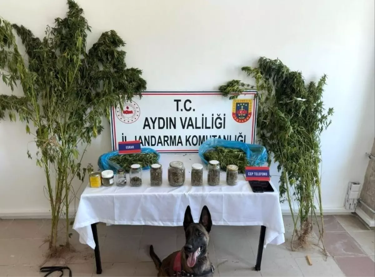 Uyuşturucu Operasyonu: 12 Şüpheli Yakalandı
