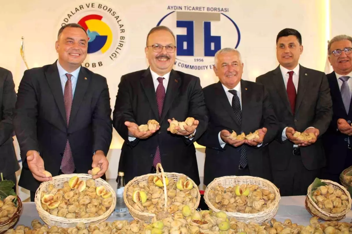 Aydın’da Kuru İncir Sezonu 800 TL’den Açıldı