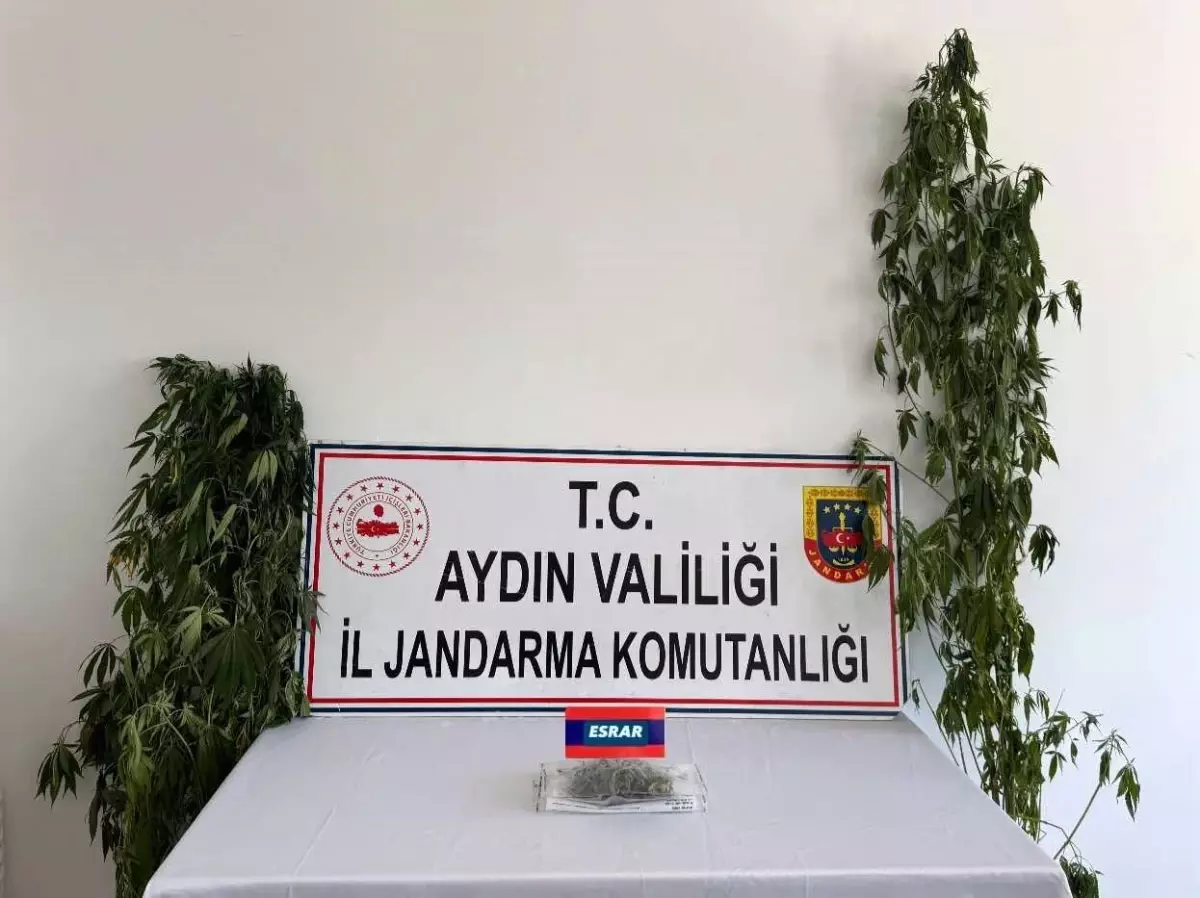 Uyuşturucu Operasyonu: 13 Şüpheli Yakalandı