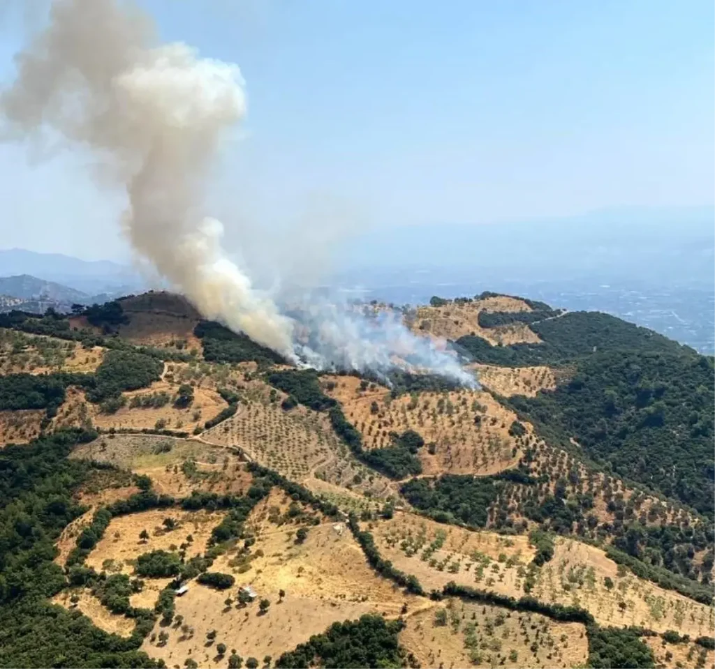 Aydın’da Zirai Alan Yangınına Hızlı Müdahale