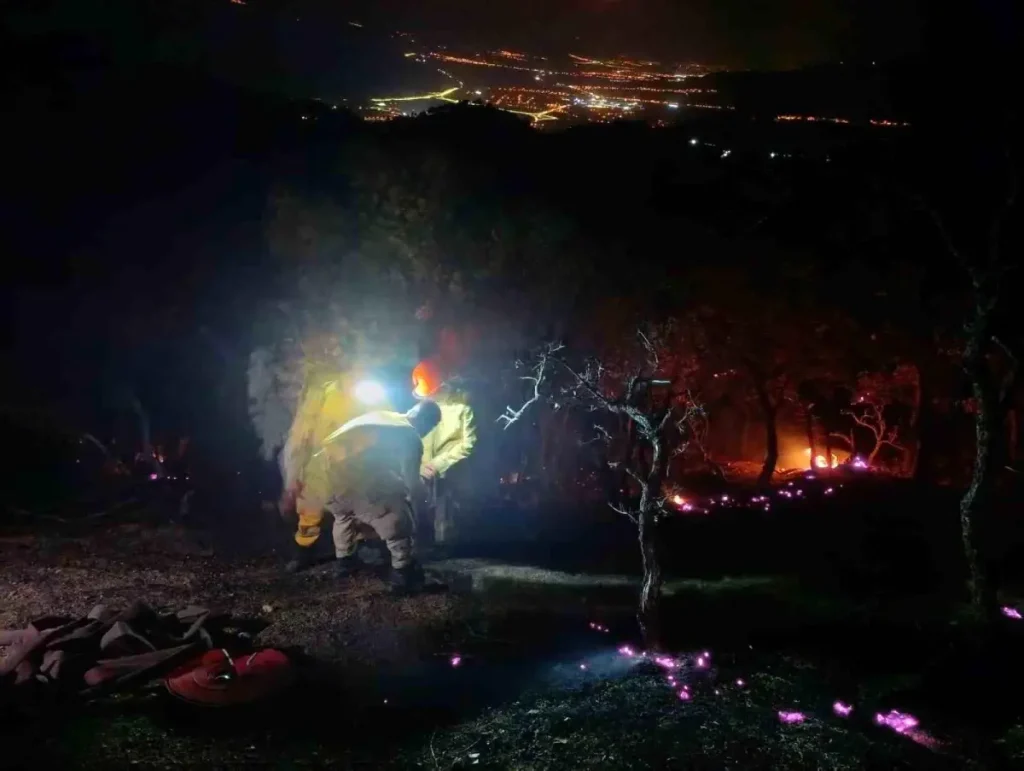 **Orman Yangını Kontrol Altına Alındı**