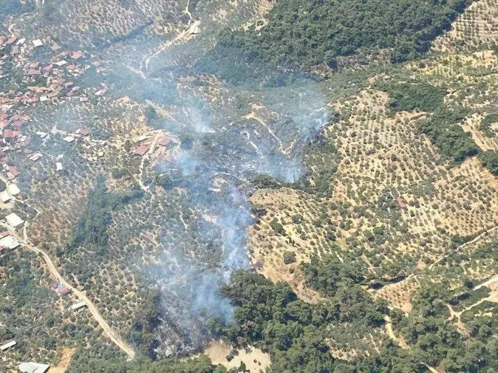 Aydın’ın Germencik İlçesinde Orman Yangını Kontrol Altına Alındı