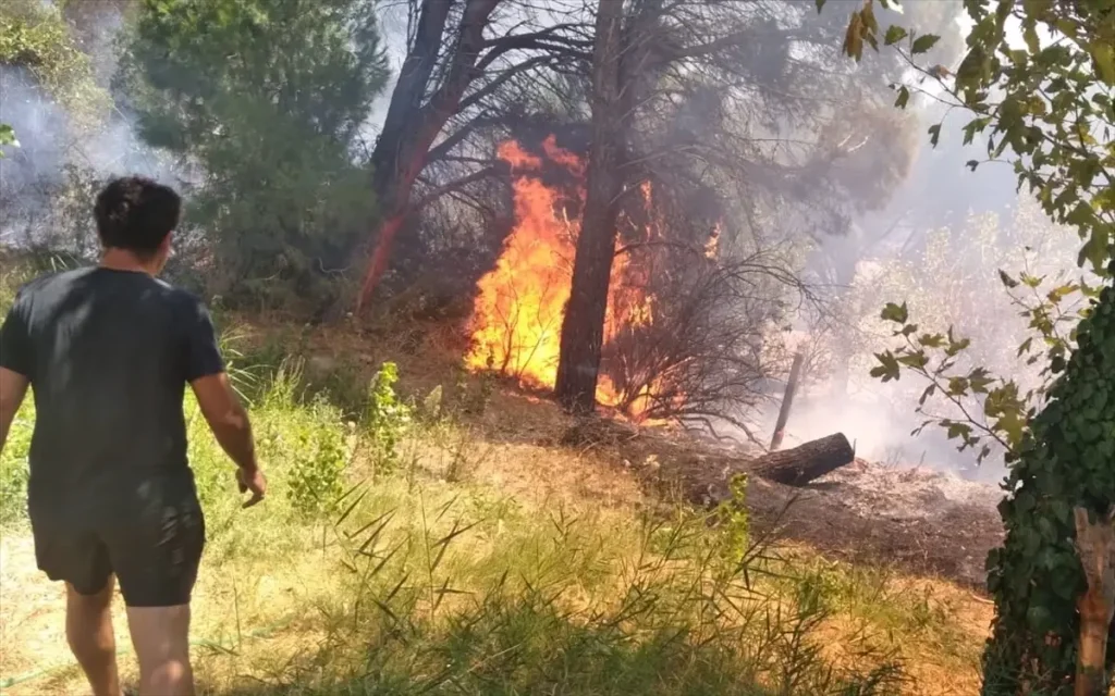 Balıkesir’de Orman Yangını Kontrol Altına Alındı