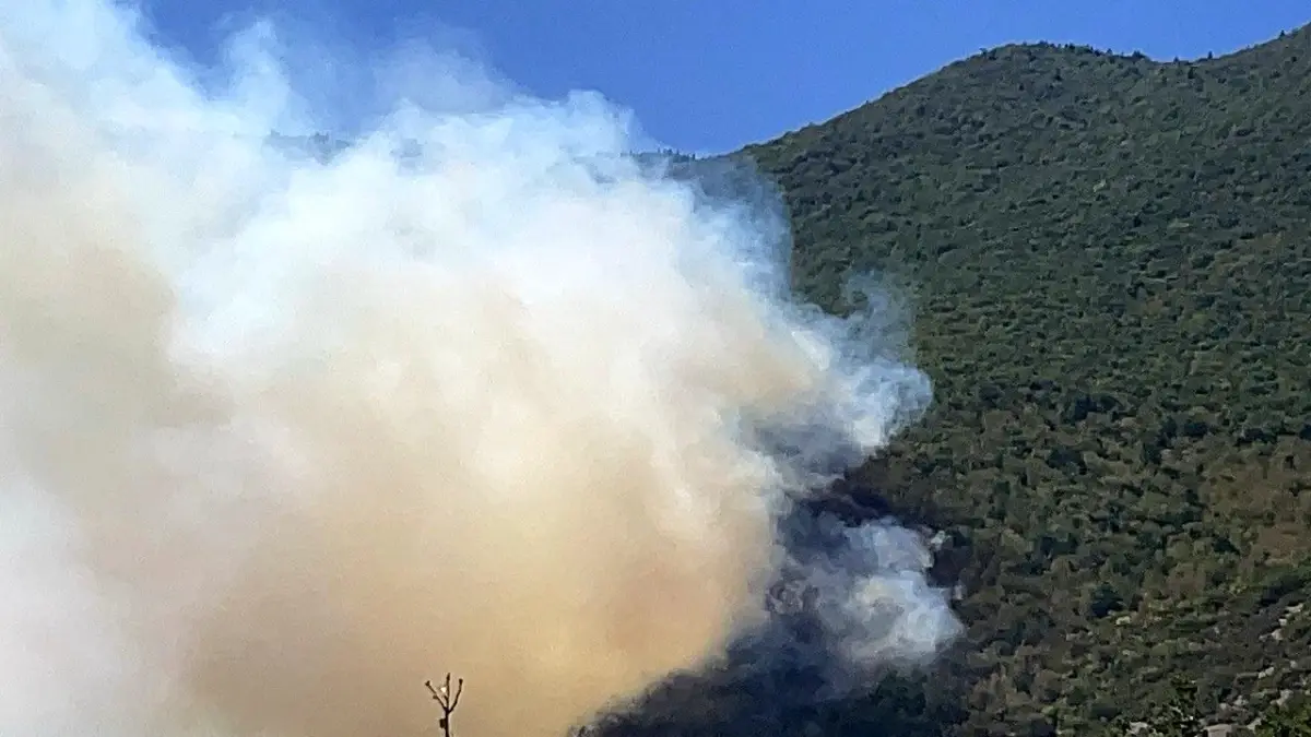 Bartın’ın Ulus İlçesinde Kontrolsüz Yangın Büyüyor