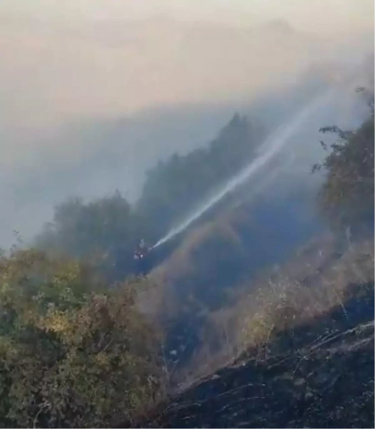 Orman Yangını Bölgede Korku ve Paniğe Neden Oldu