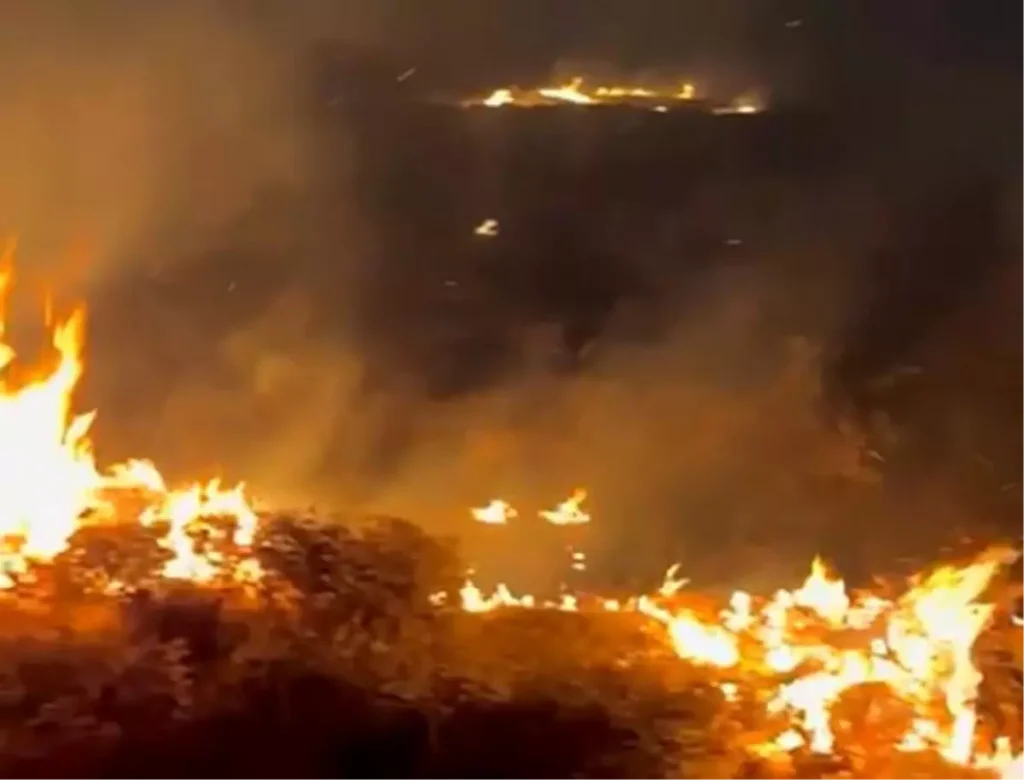 Bitlis’te Örtü Yangını Kontrol Altına Alındı