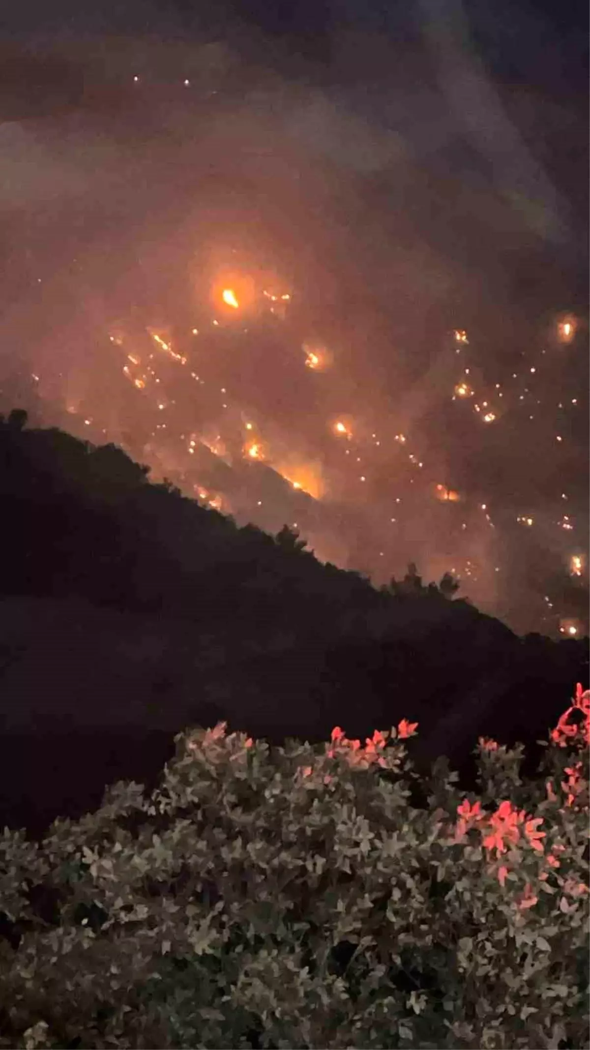 **Denizli ve Aydın’ı Kuşatan Orman Yangını**