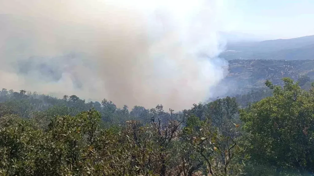 “Kontrolsüz Orman Yangınları Bölgeyi Tehdit Ediyor”
