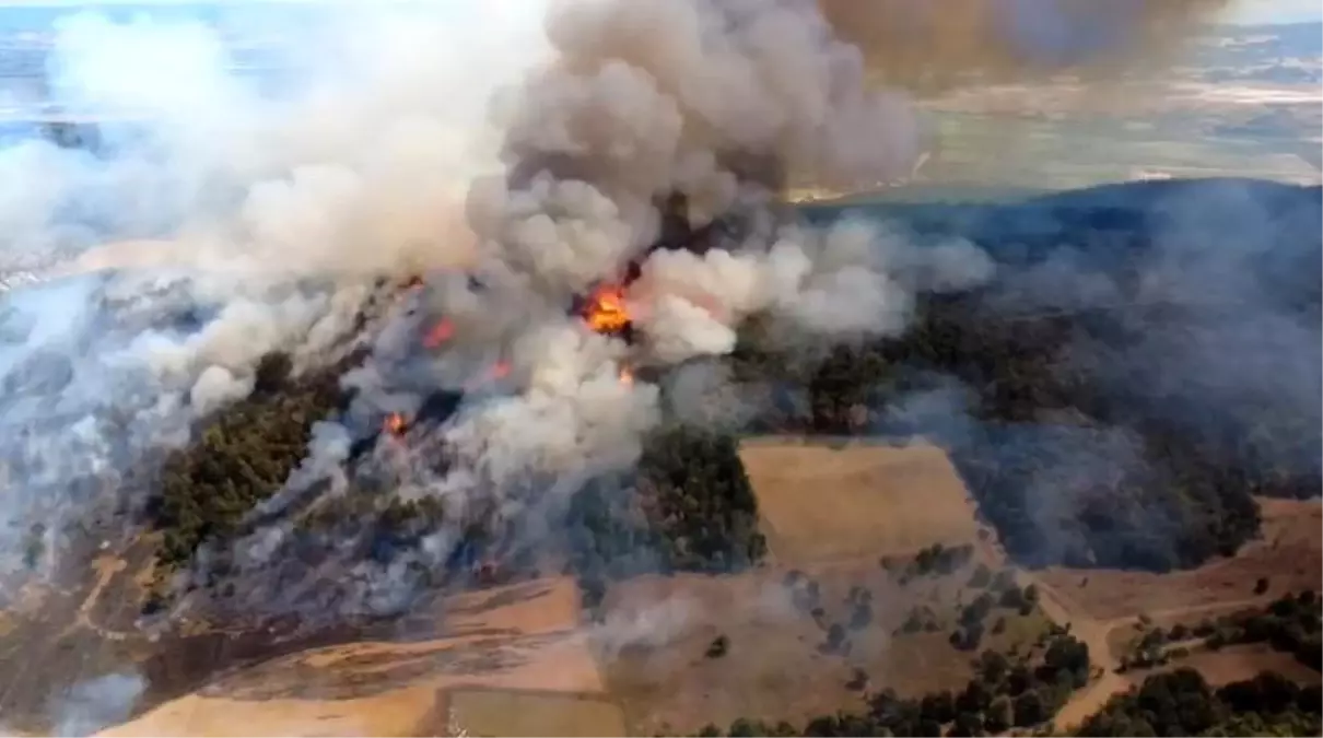Bursa’da Büyük Orman Yangını Kontrol Altına Alındı