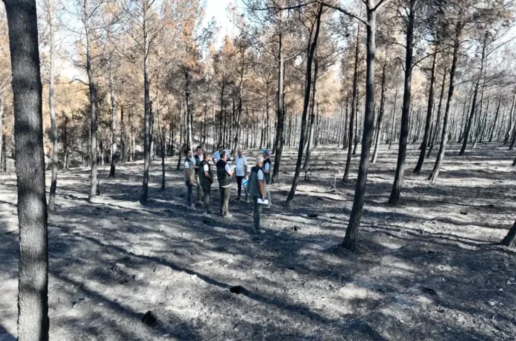 Çanakkale’de Yangınlar: 8 Bin Hektar Alan Zarar Gördü