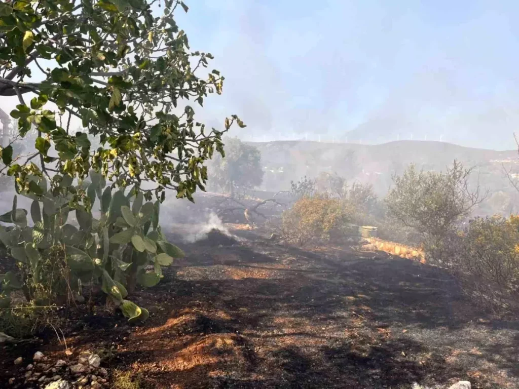 Didim’de Makilik Yangını Kontrol Altına Alındı