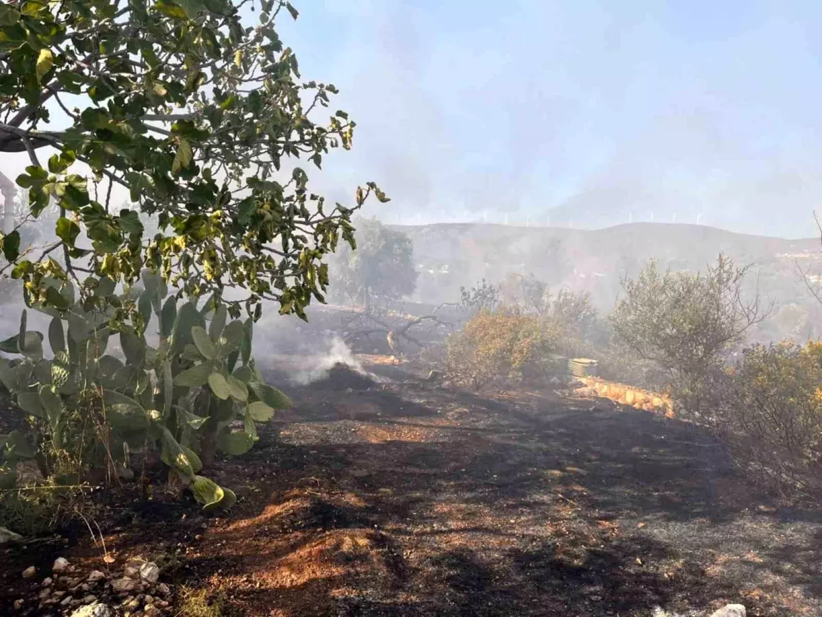 Didim’de Makilik Yangını Kontrol Altına Alındı