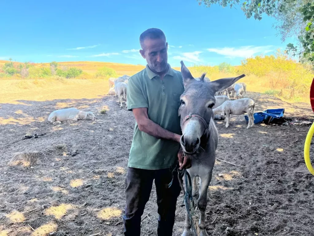 Hayvanseverlerin Kullandığı Otogar Eşek Sahibine Kavuştu