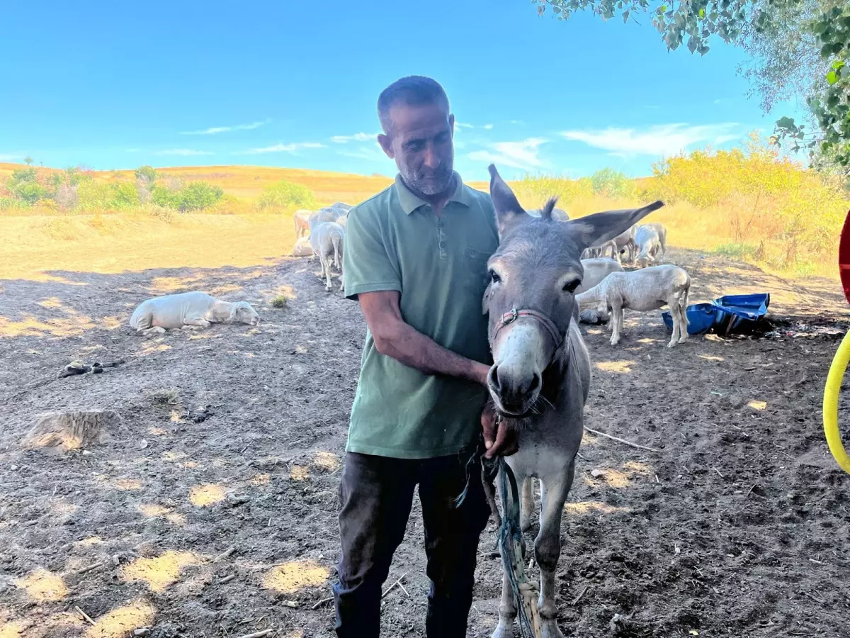 Hayvanseverlerin Kullandığı Otogar Eşek Sahibine Kavuştu