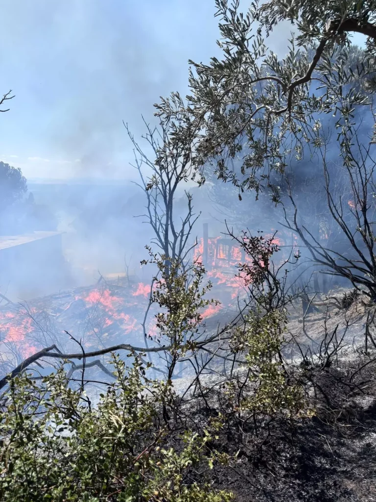**Erdek Orman Yangını 2 Saatte Kontrol Altına Alındı**
