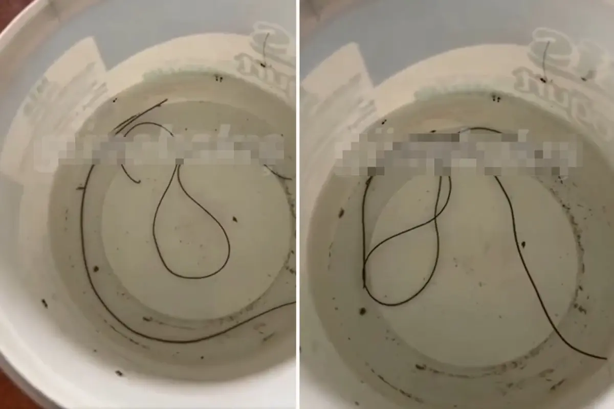 **Musluktan Çıkan Gizemli Cisim Şaşkınlık Yarattı**