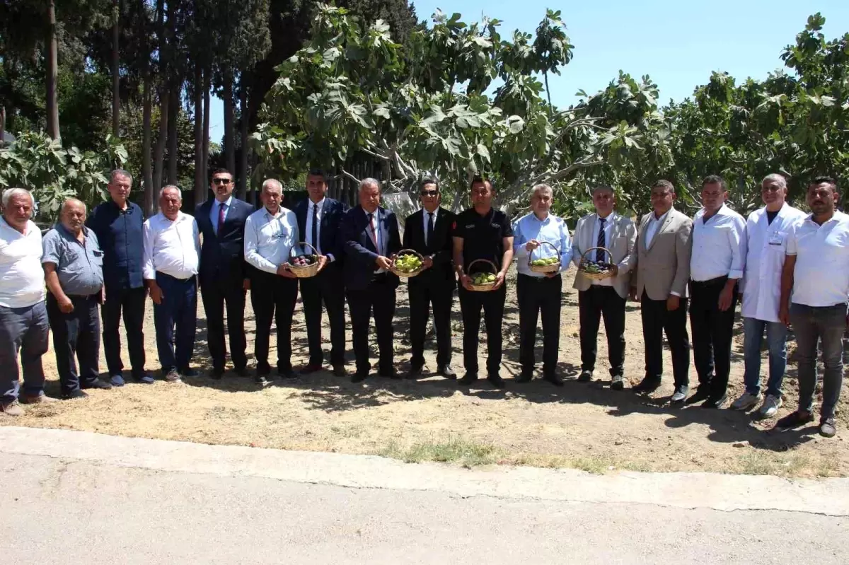 İncir Hasadı ve Tarımın Geleceği Aydın’da Tartışıldı