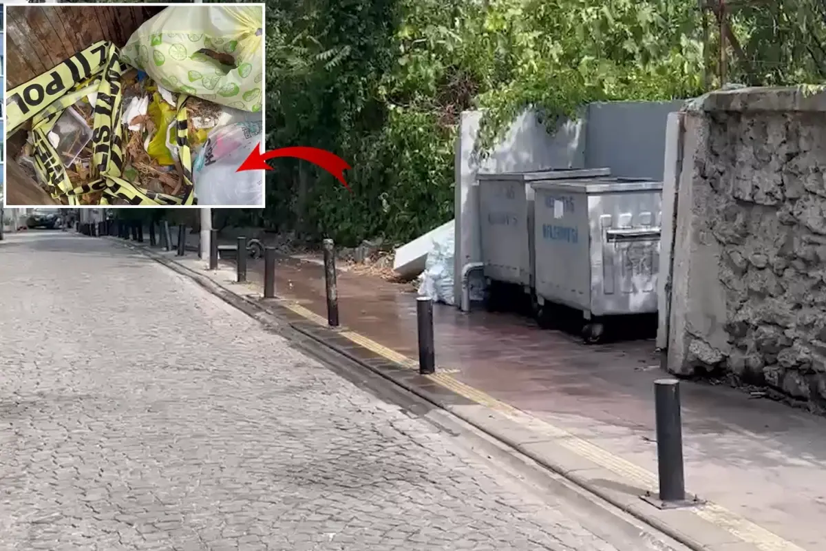 Yeni Doğan Bebek Cesedi Çöplükte Bulundu