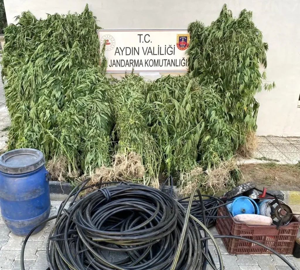 Jandarma Uyuşturucu Operasyonu: 17 Yakalama