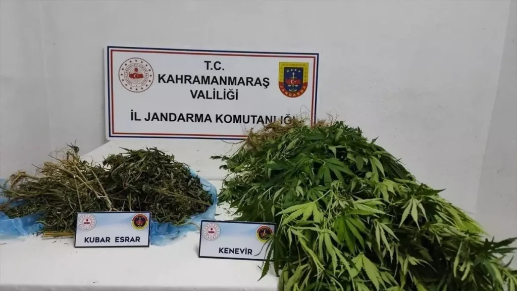 Kahramanmaraş’ta Jandarma Operasyonu: 14 Şüpheli Tutuklandı