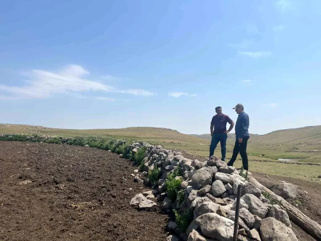 Kars’ta Sap Hastalığıyla Mücadele Sürüyor