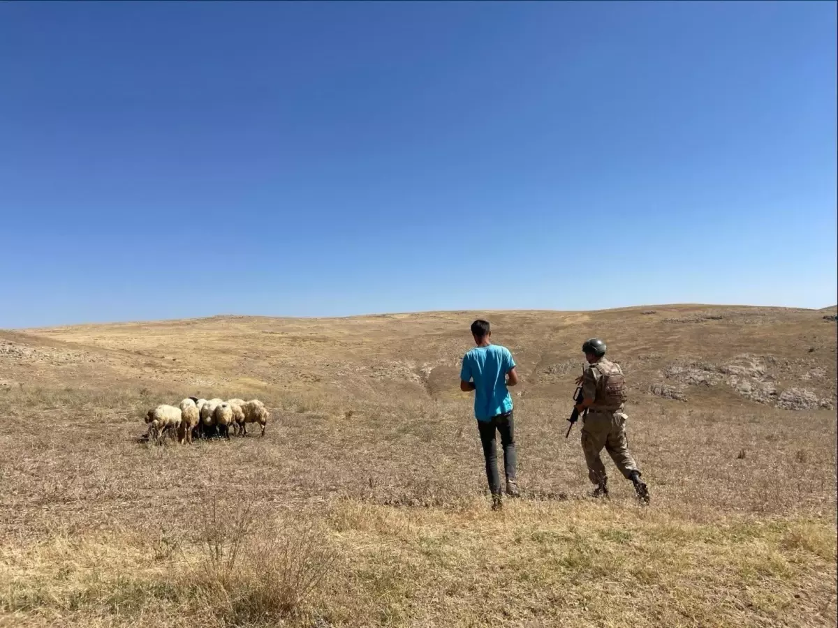 Kayıp Koyunlar Termal Teknolojiyle Bulundu