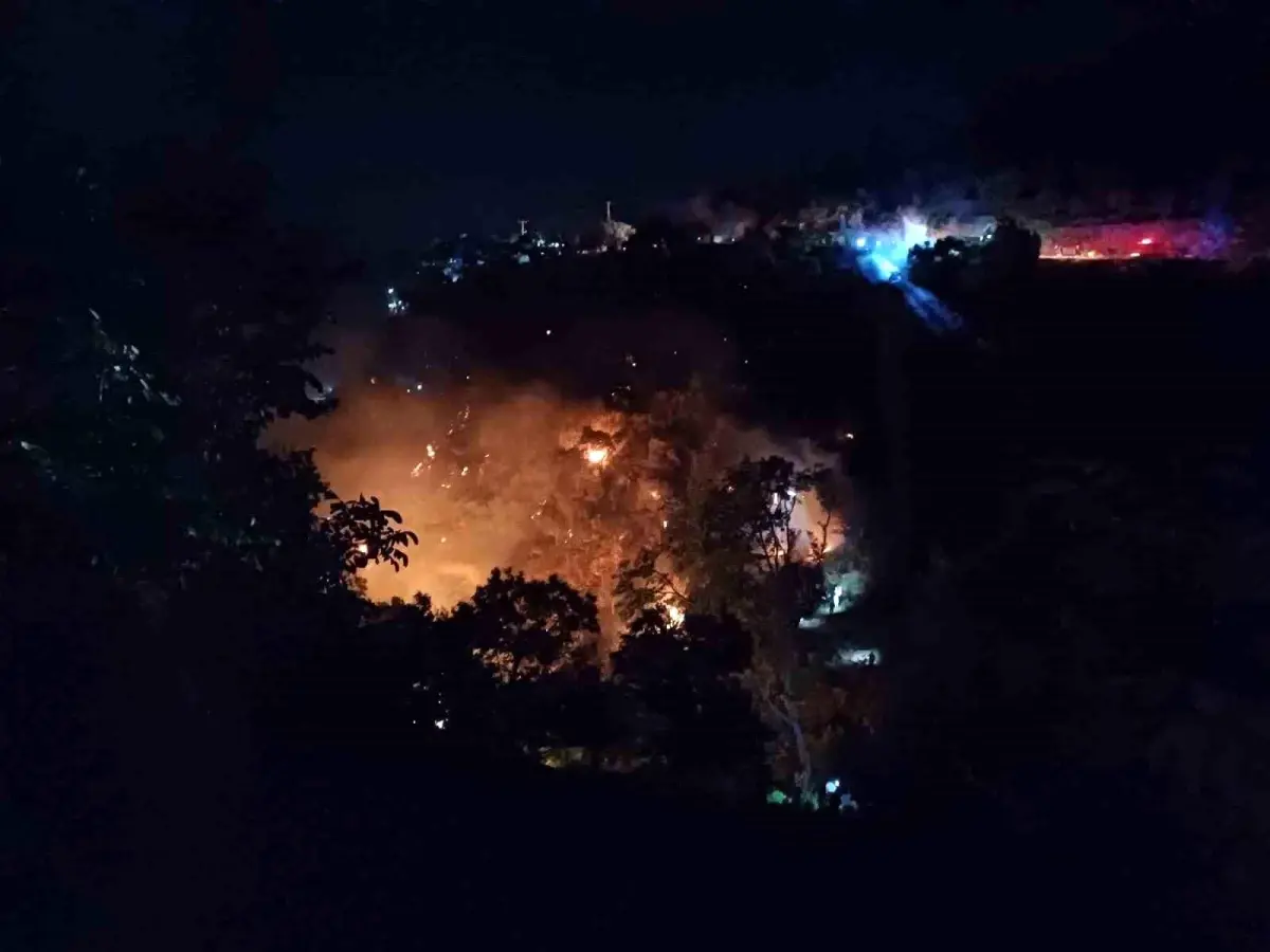 Aydın’da Korkutan Orman Yangını Kontrol Altına Alınmaya Başlandı