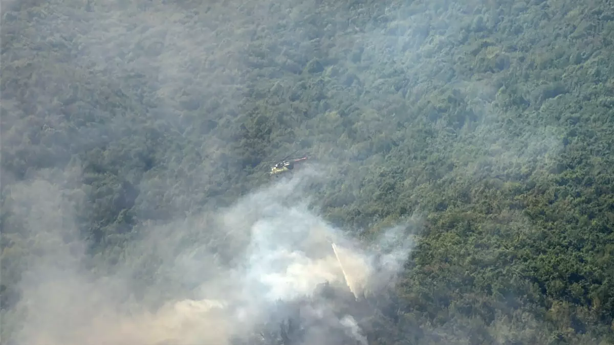 **Küre Dağları’nda Orman Yangını: Müdahale Sürüyor**