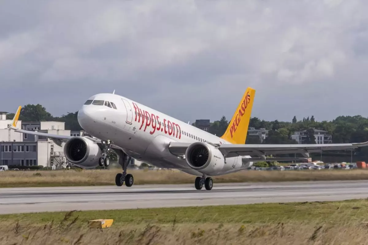 Uçak Leylek Sürüsüne Girince Sabiha Gökçen’de Acil İniş