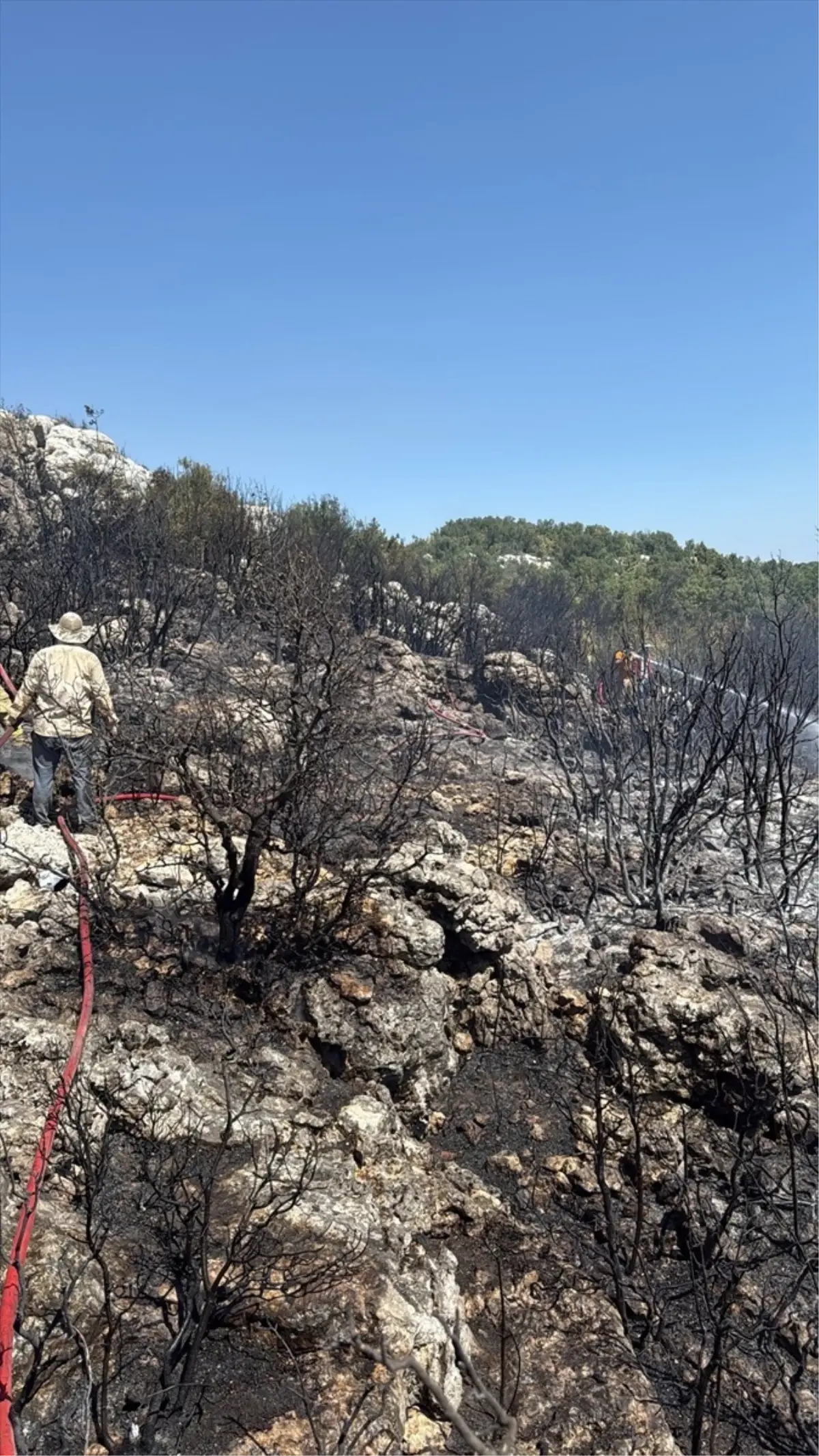Mersin’de Ağaçlık Yangını Kontrol Altına Alındı