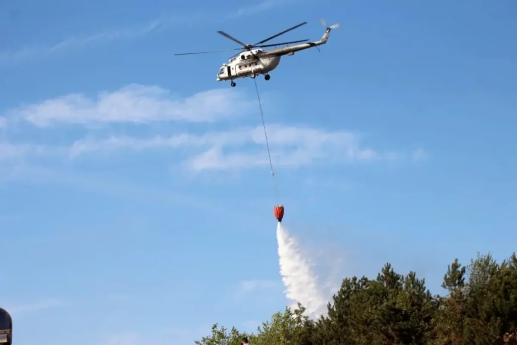 Sakarya’da Orman Yangını Kontrol Altına Alındı