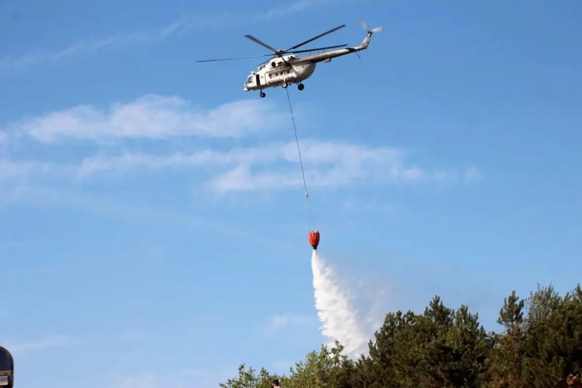 Sakarya’da Orman Yangını Kontrol Altına Alındı