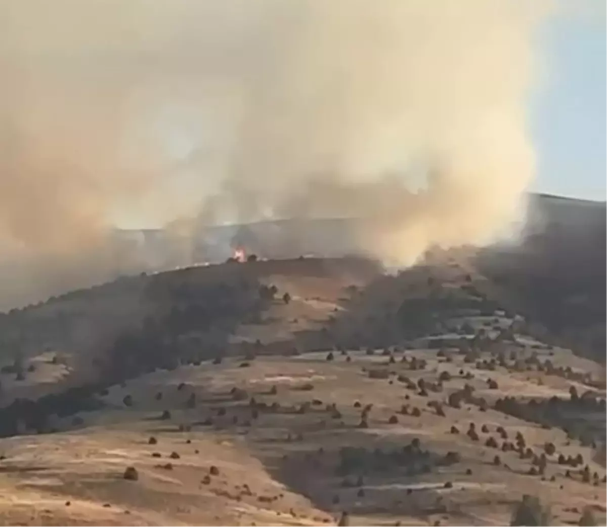 “Sivas İmranlı’da Anız Yangını Ağaçlık Alana Sıçradı”