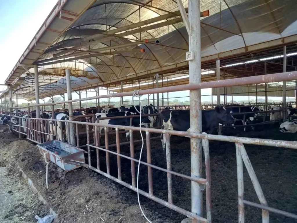 Aydın’ın Söke İlçesinde Hastalıktan Ari İşletmeler Denetlendi