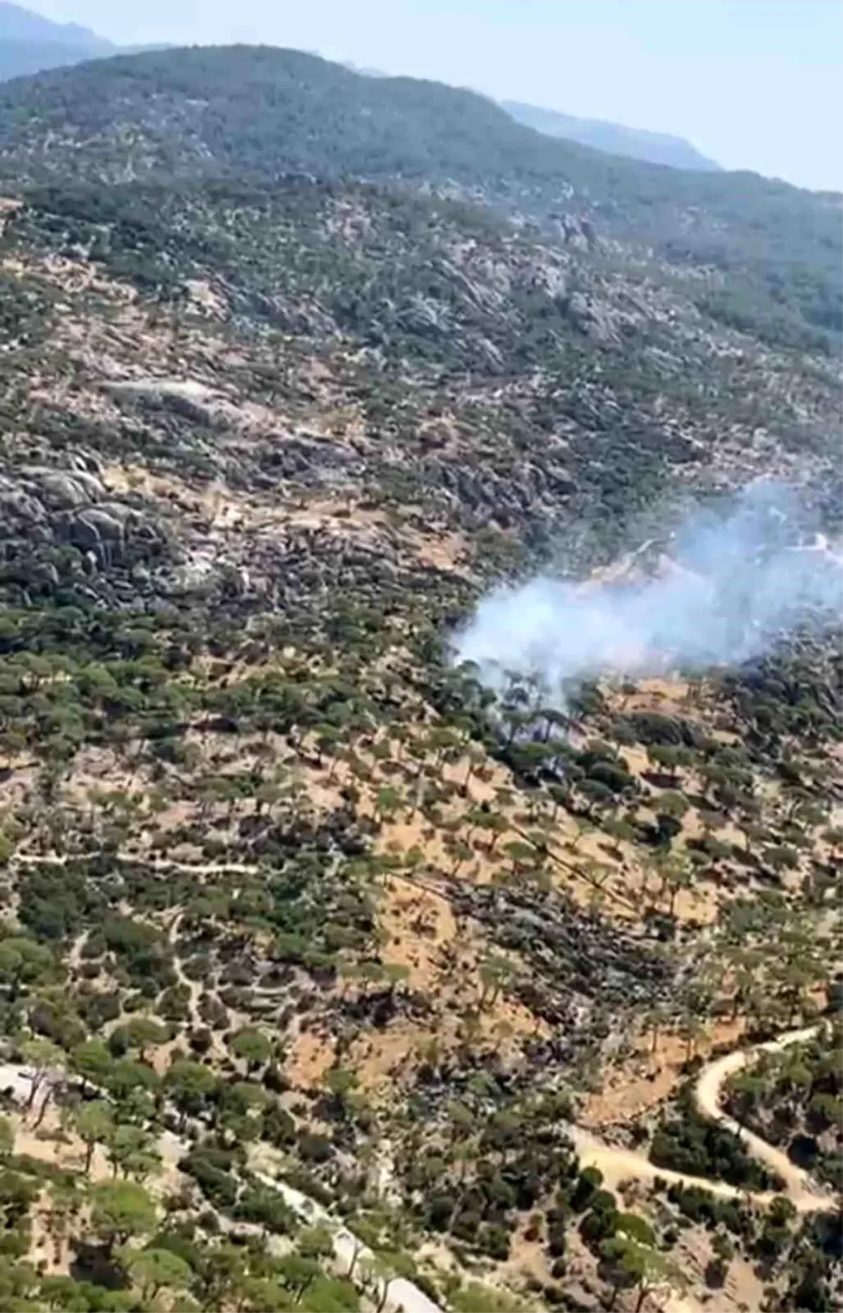 Aydın’ın Söke İlçesinde Değirmen Boğazı’nda Yangın
