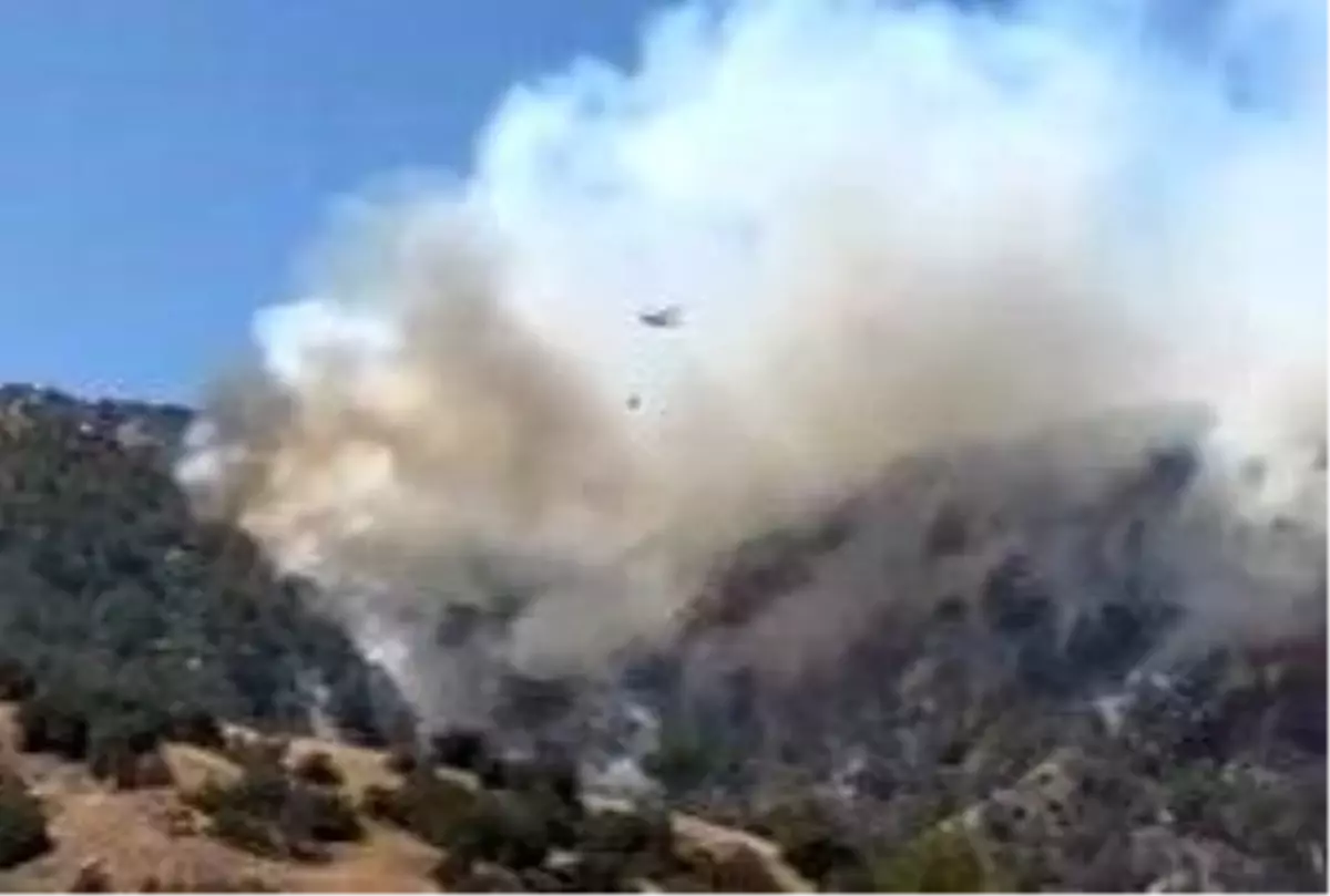 **Yangın Rüzgarla Yön Değiştirdi: Buldan Tehdit Altında**