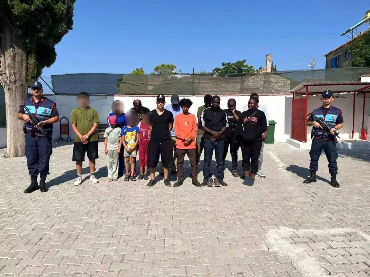 Zeytinlikte Saklanan Düzensiz Göçmenler Yakalandı