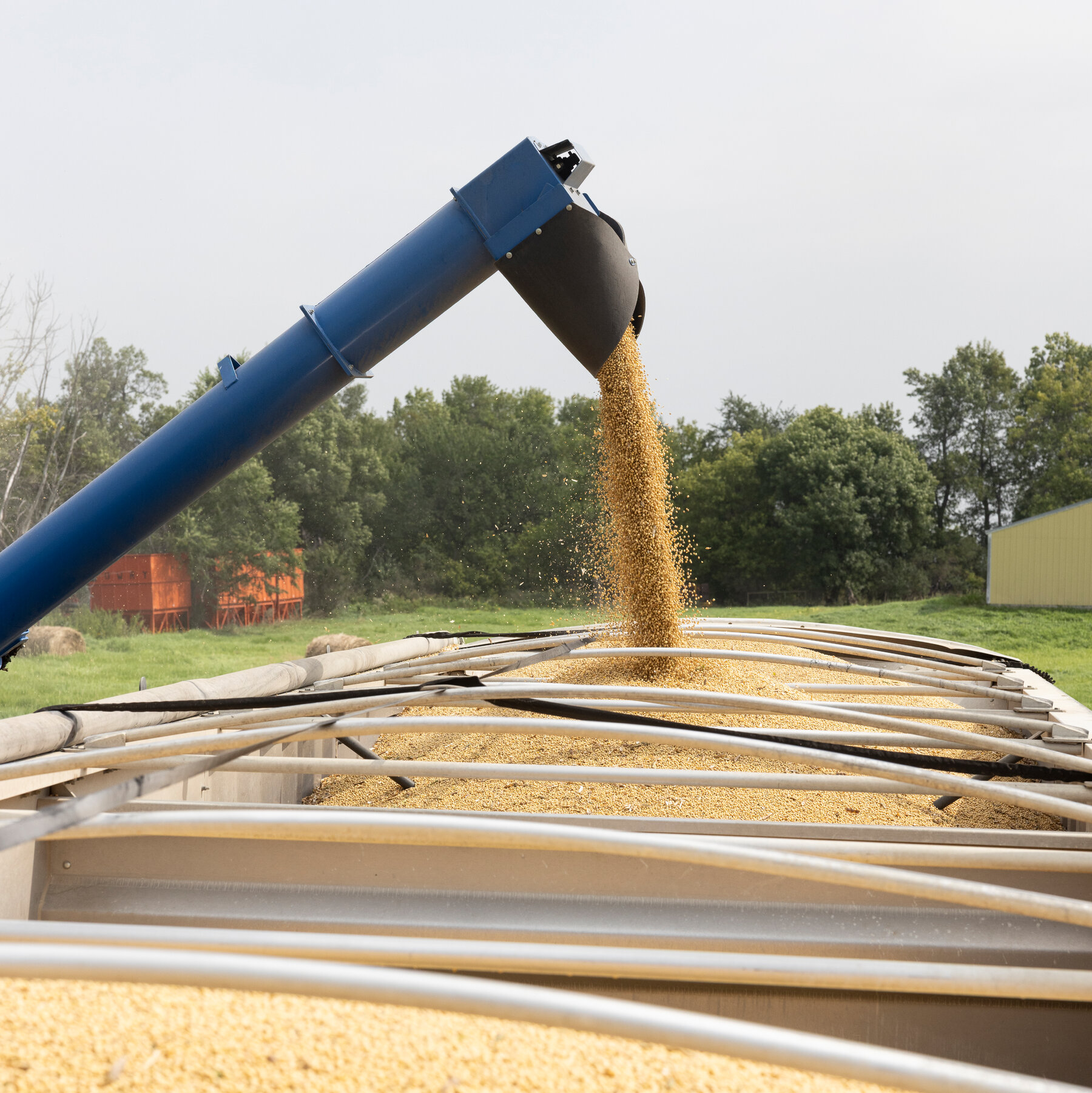 Trump Vows Support for Struggling Farmers with Aid Package