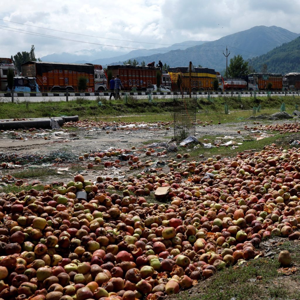 Kashmir’s Bountiful Apple Harvest Goes to Waste as Landslide Cuts Off Region