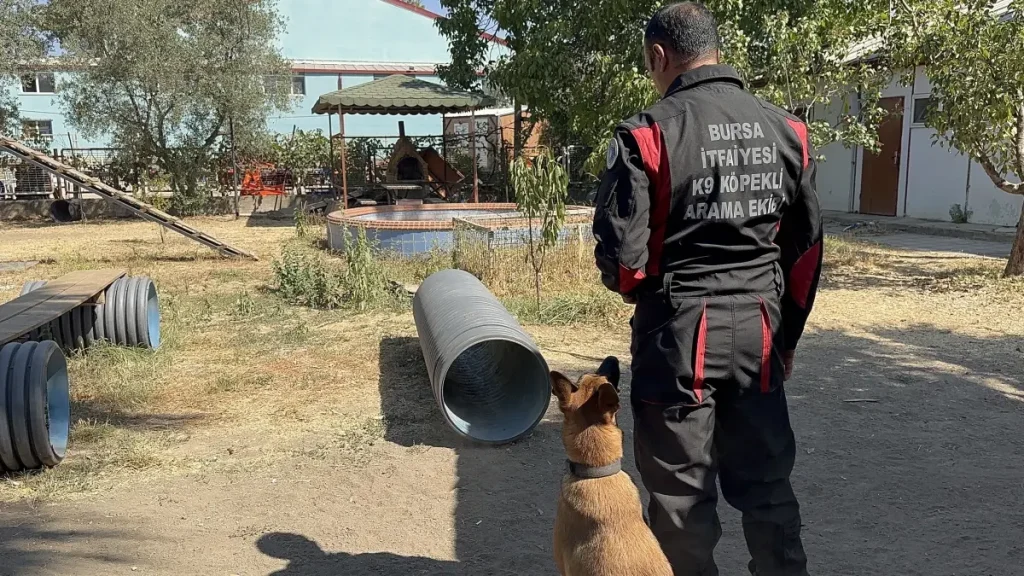 Afetlerde Hayat Kurtaracak Eğitimli Köpekler
