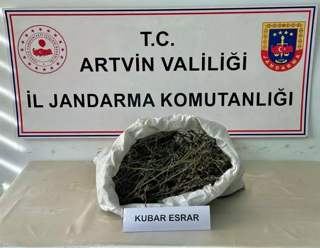 Artvin’de Büyük Uyuşturucu Operasyonu