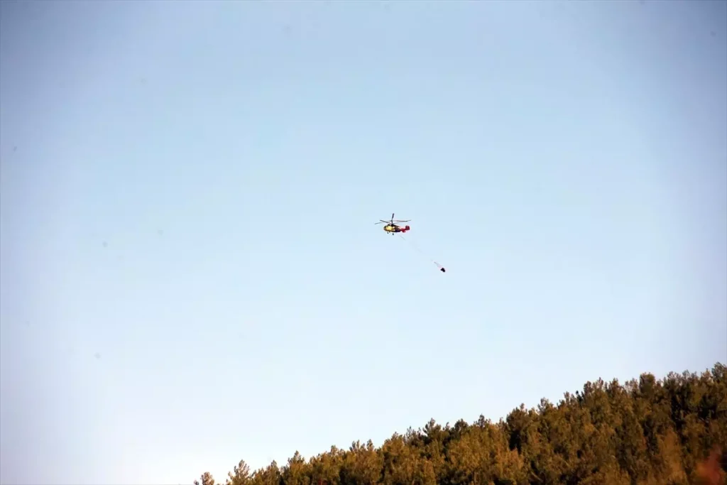 Aydın’da Orman Yangını Kontrol Altına Alındı