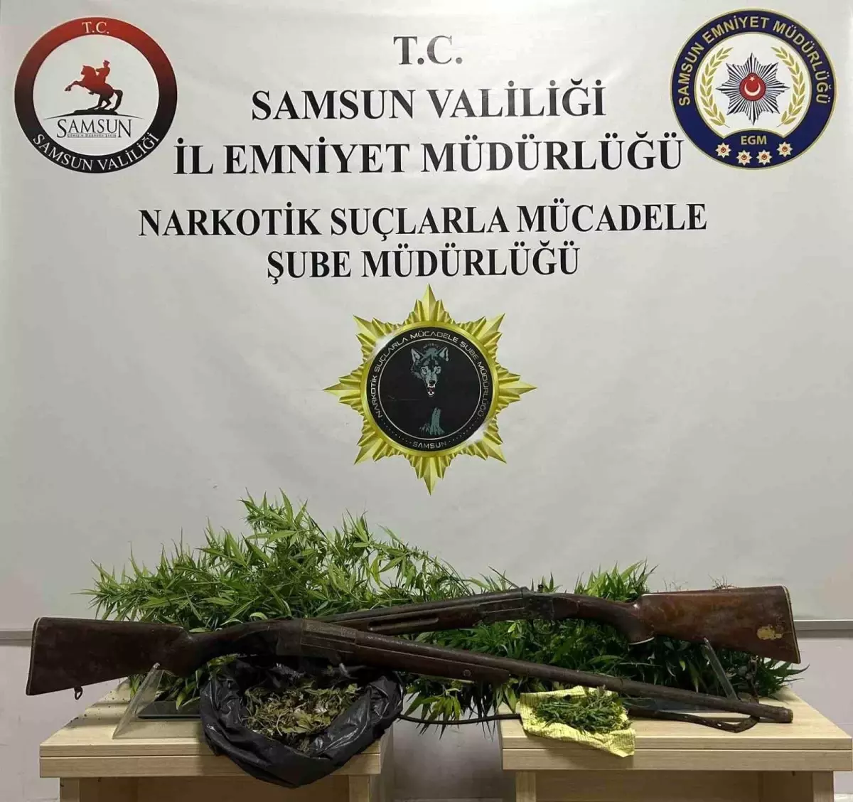 Bafra’da Uyuşturucu Operasyonu: 33 Kök Hint Keneviri Ele Geçirildi