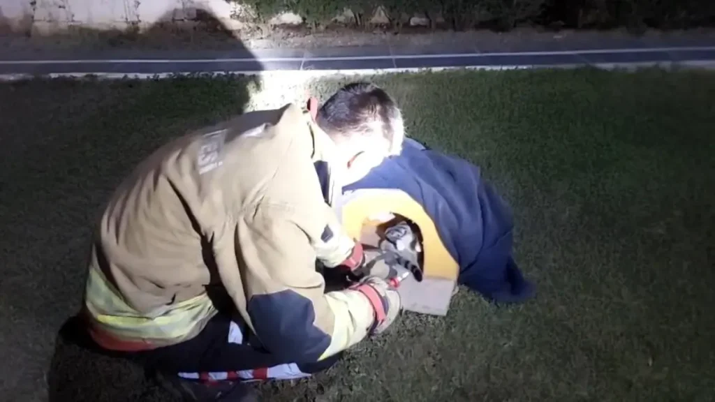 Kedinin Balık Misinası Kabusu